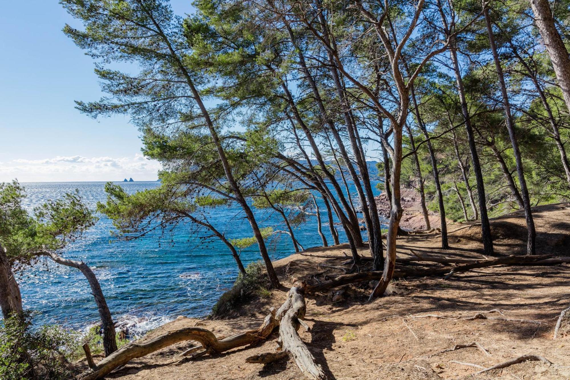 Superbe Studio Avec Terrasse Proximite Plage Saint-Mandrier-sur-Mer Buitenkant foto